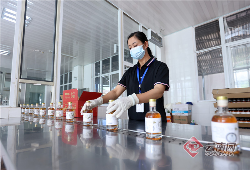 【有一种生活，叫大理】 金普拉：赴一场微醺的对酌