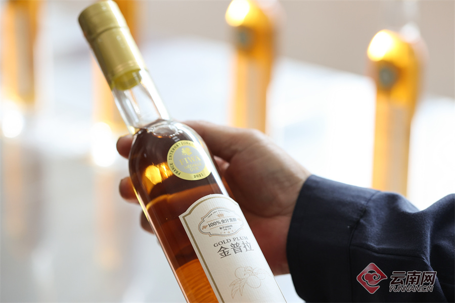 【有一种生活，叫大理】 金普拉：赴一场微醺的对酌