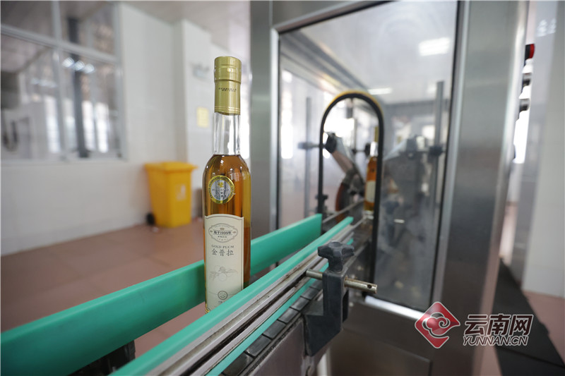 【有一种生活，叫大理】 金普拉：赴一场微醺的对酌