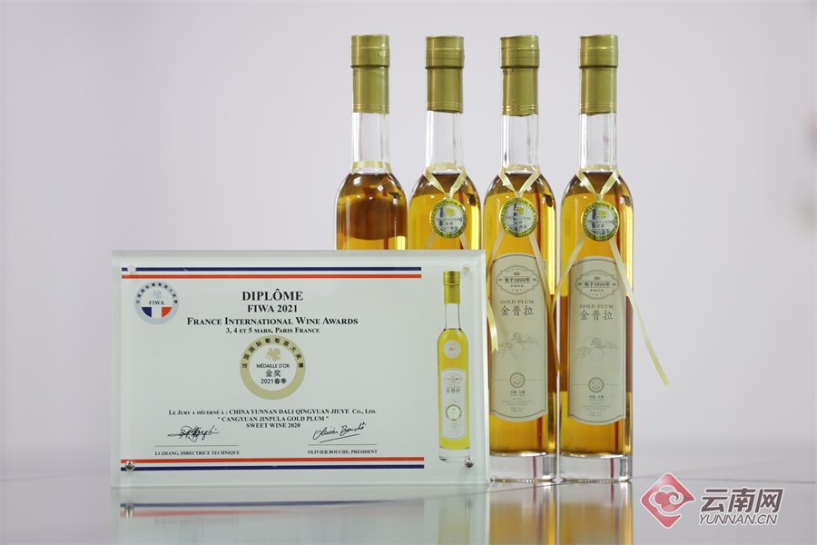 【有一种生活，叫大理】 金普拉：赴一场微醺的对酌