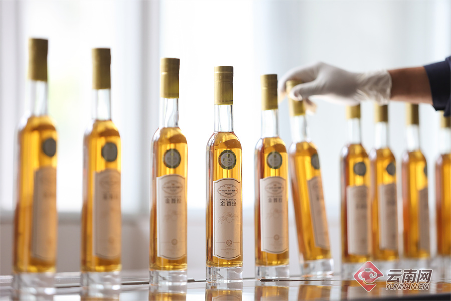 【有一种生活，叫大理】 金普拉：赴一场微醺的对酌