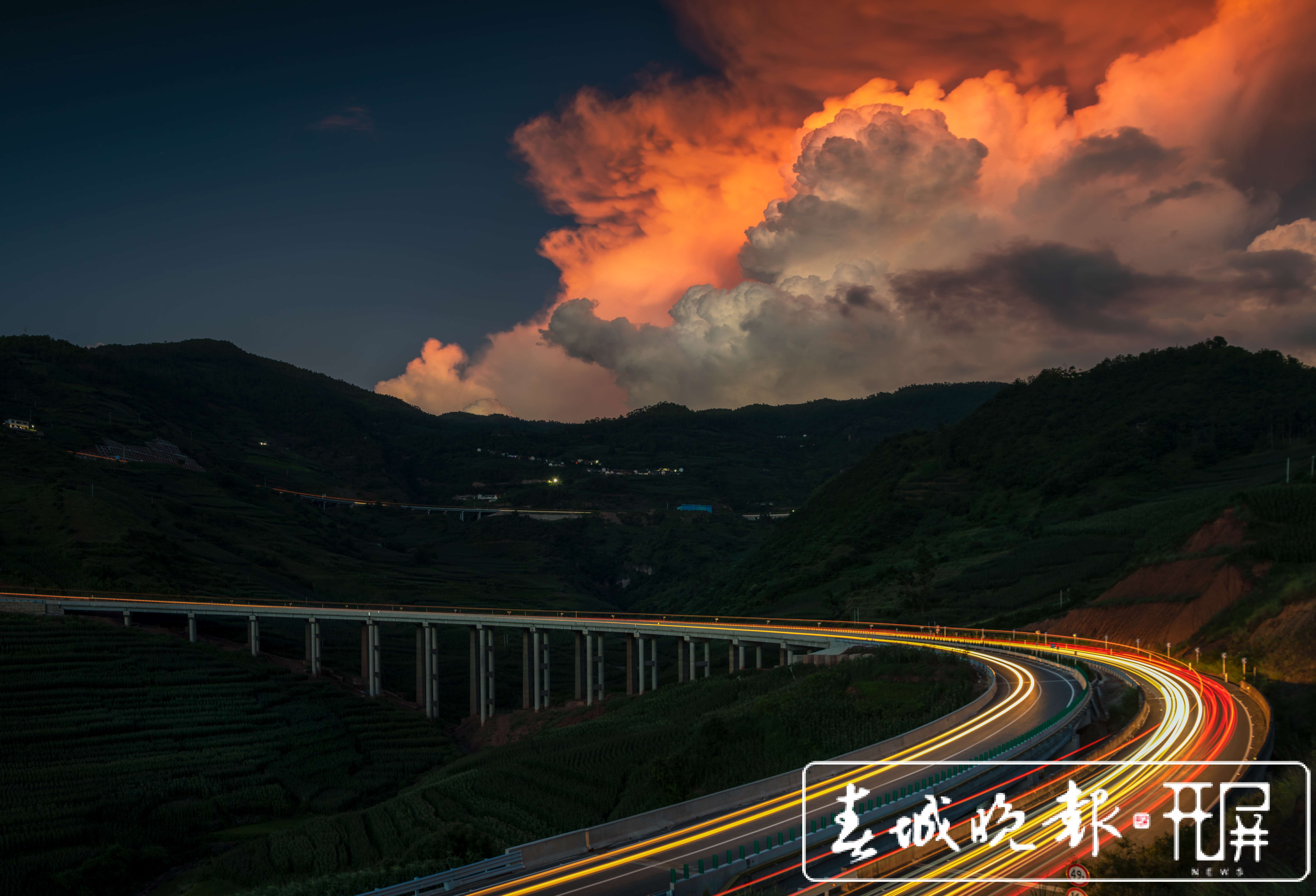 云龙：生态持续向好！两个森林修复案例入选COP15全球案例 (2).jpg