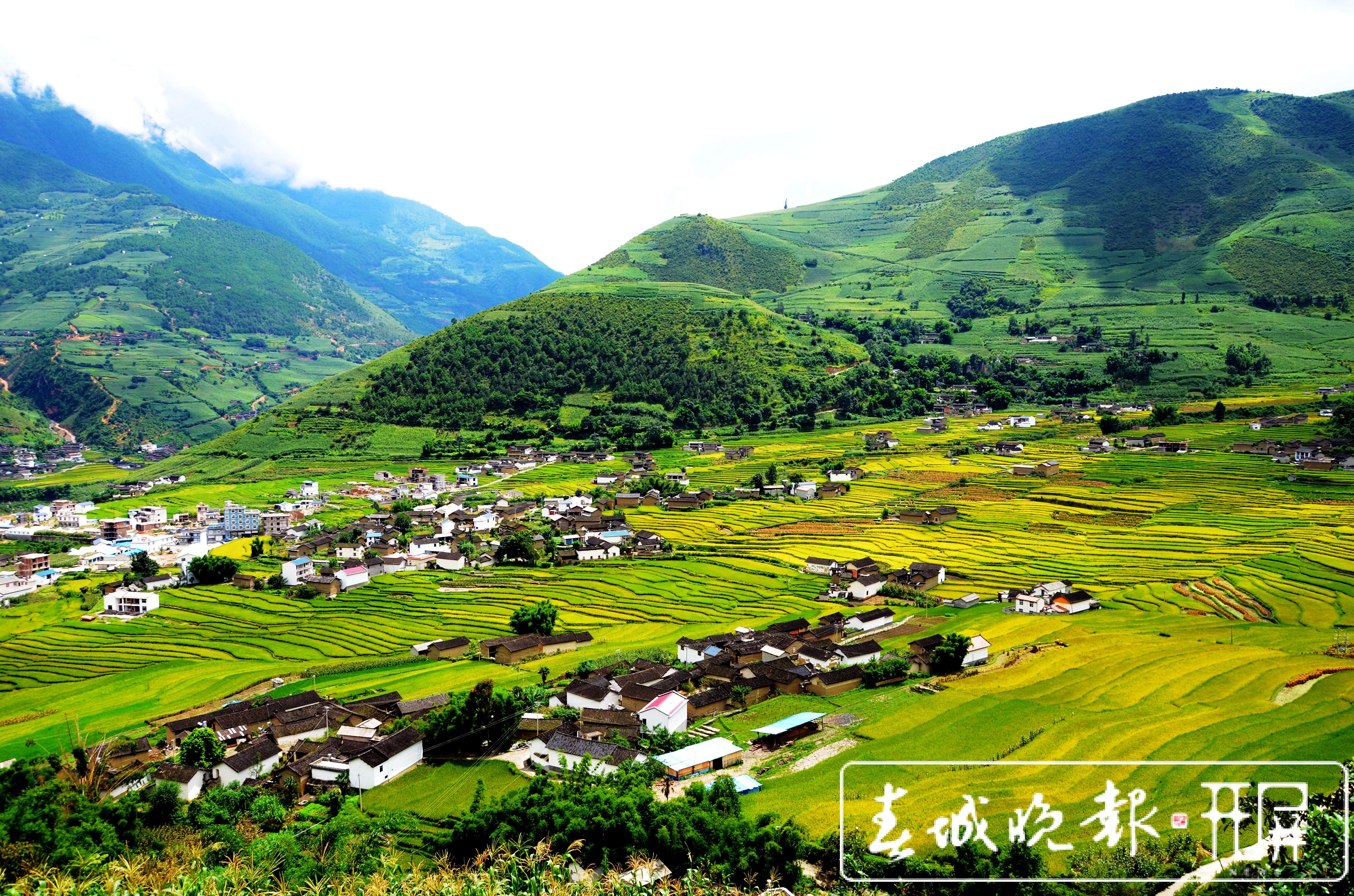 云龙：生态持续向好！两个森林修复案例入选COP15全球案例 (3).jpg