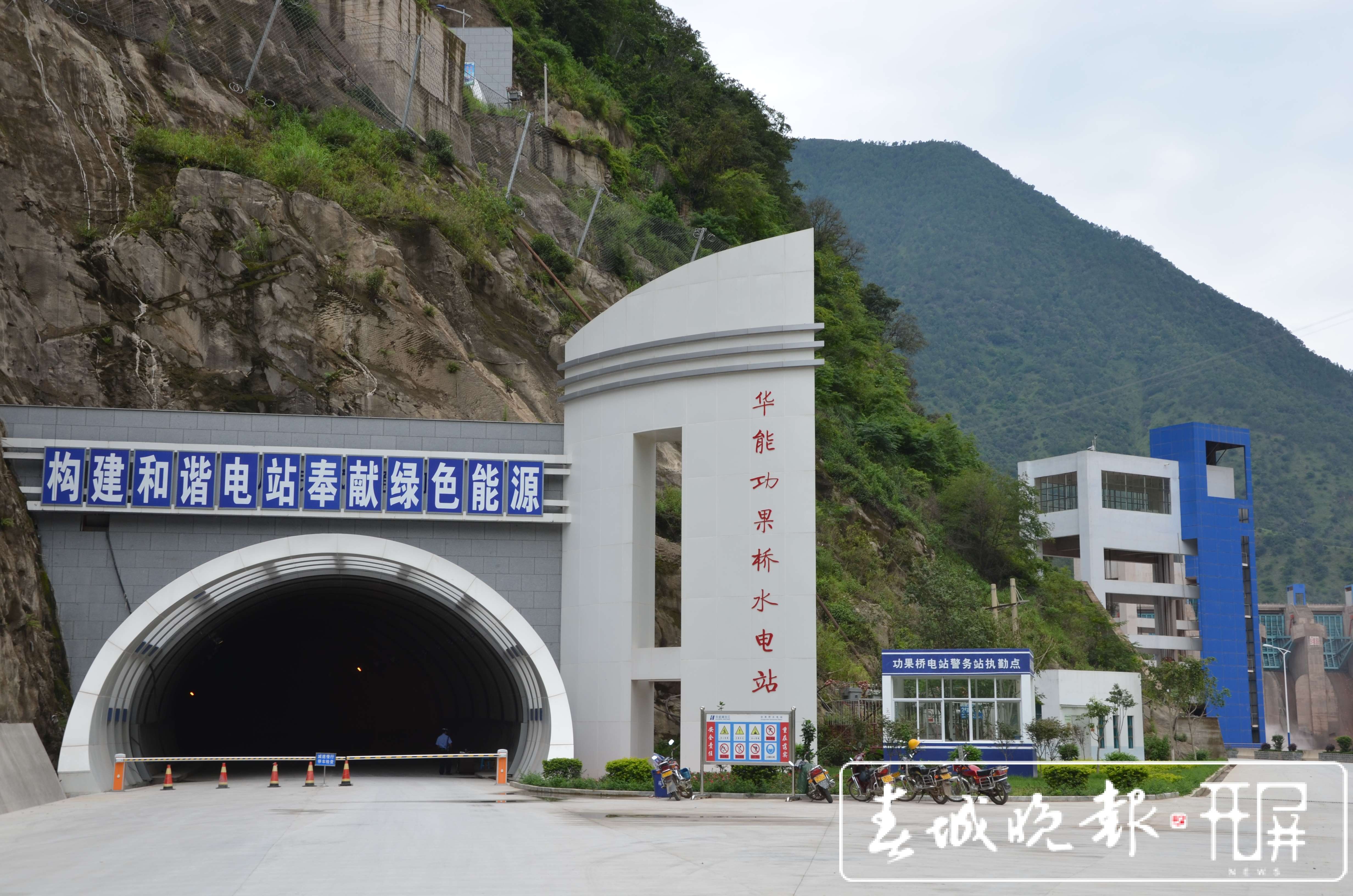 云龙：生态持续向好！两个森林修复案例入选COP15全球案例 (15).JPG