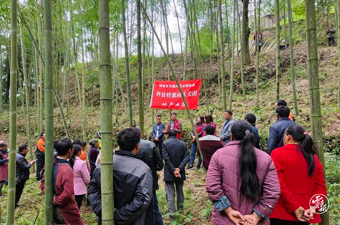 智汇彩云南·共谋新发展