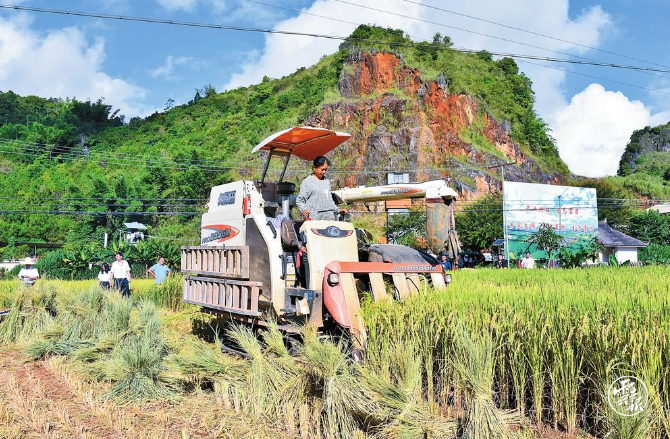 智汇彩云南·共谋新发展