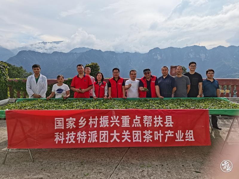 智汇彩云南·共谋新发展