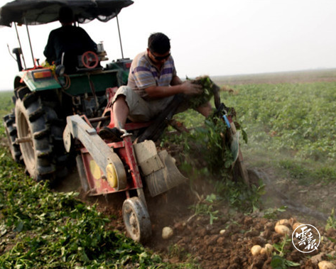 智汇彩云南·共谋新发展