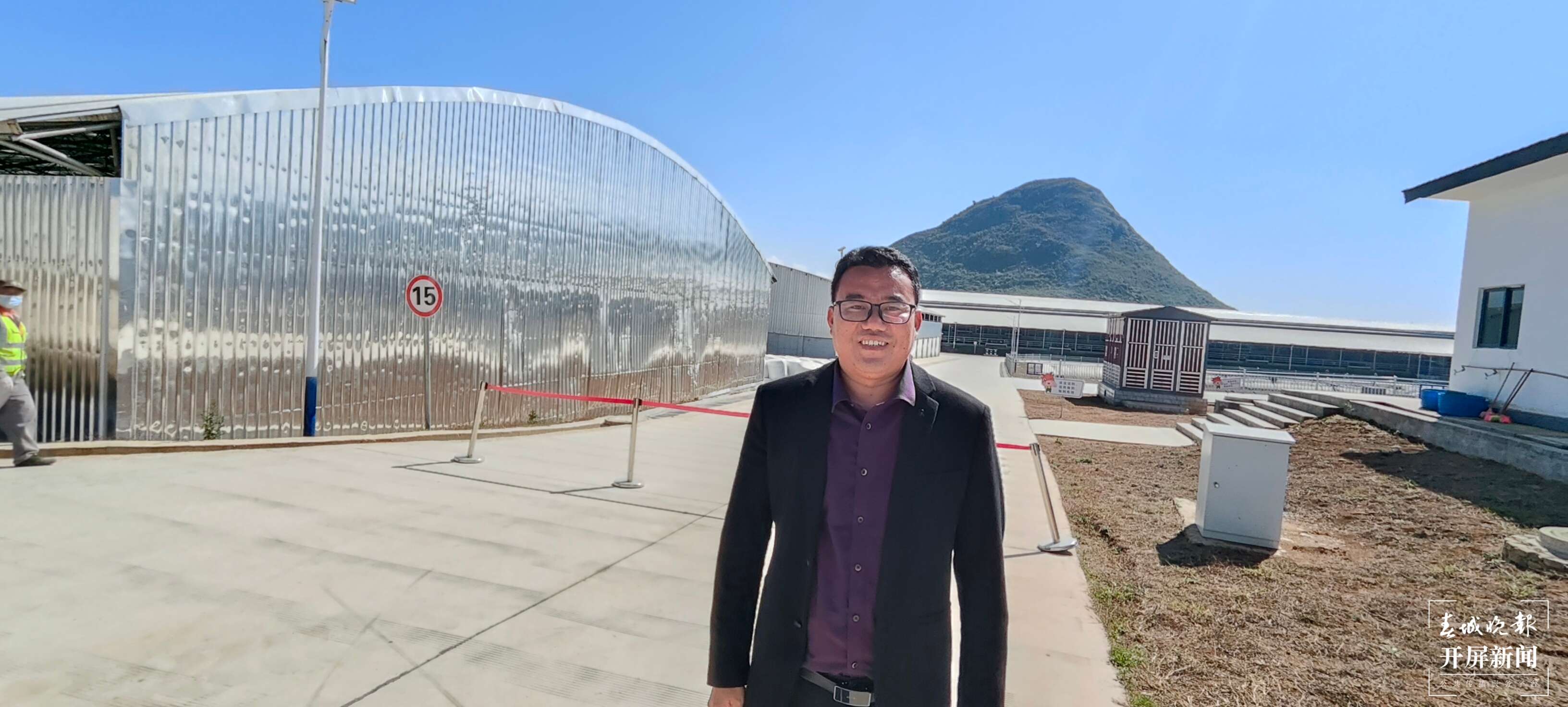 文明蒙自 善美之城 | 犇犇犇犇犇……50万头肉牛养殖规模为乡村振兴提供稳定支撑