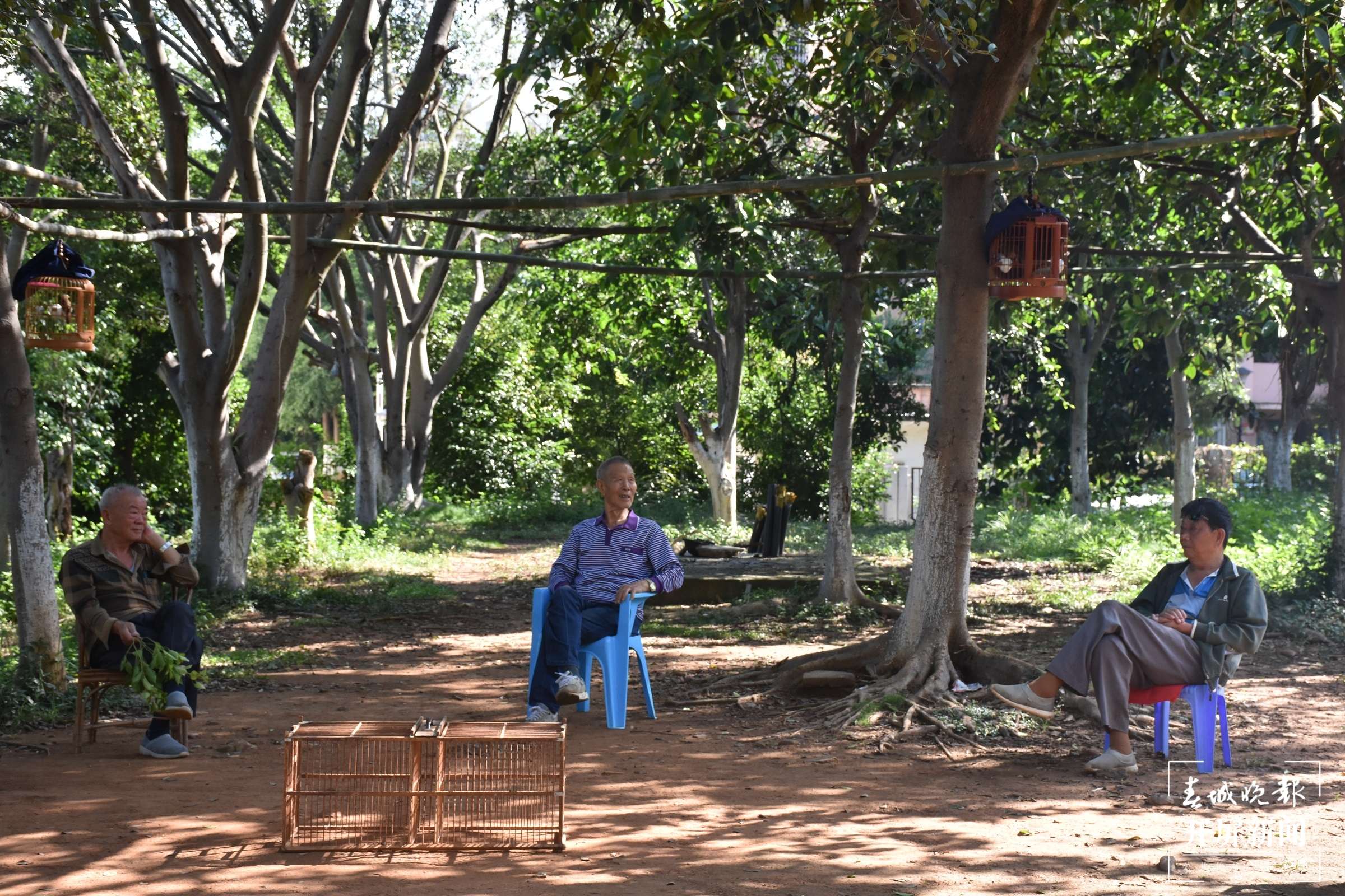 文明开远绽芳华 | 开远：“好在”社区让老年人老有所乐