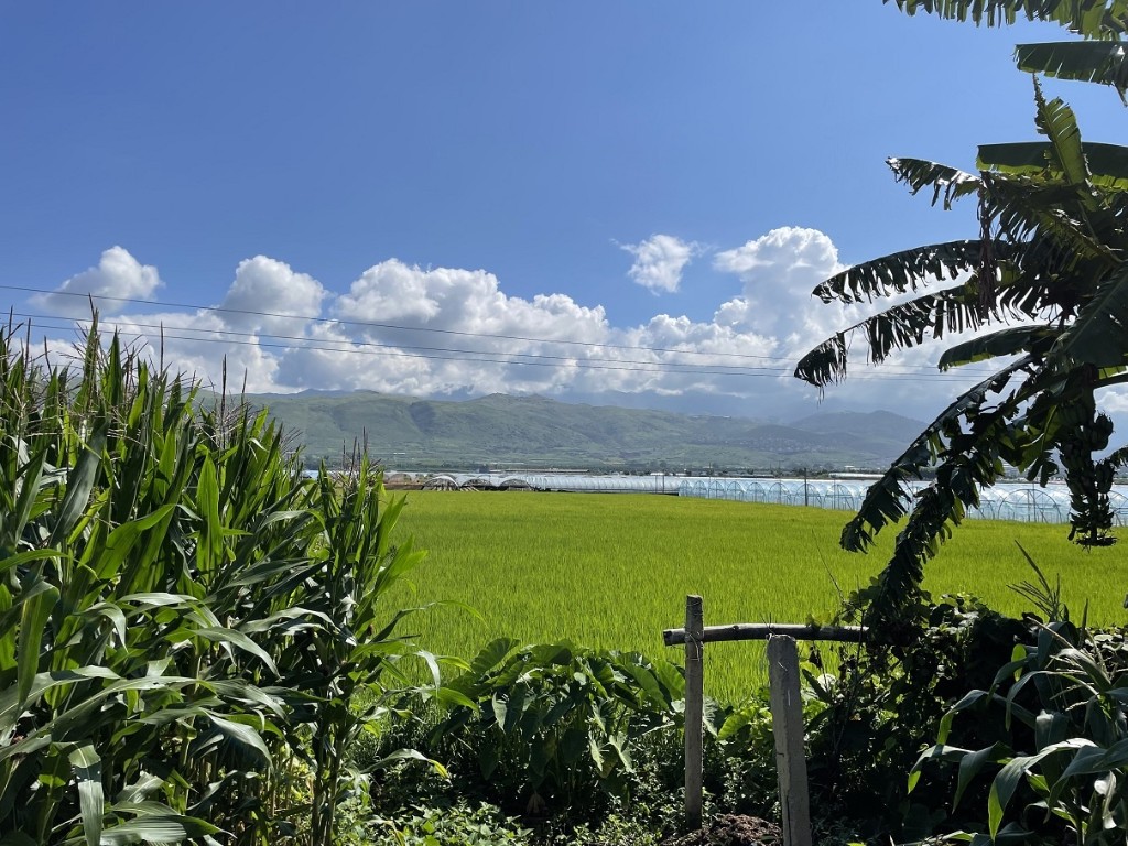 文明开远绽芳华 | 用心用情绘就美丽乡村!