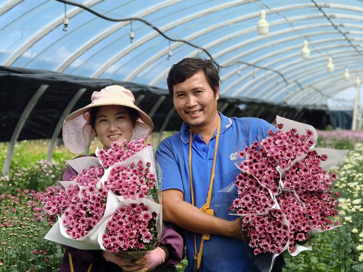 文明开远绽芳华｜羊街乡：多点开花结硕果 托起产业致富梦