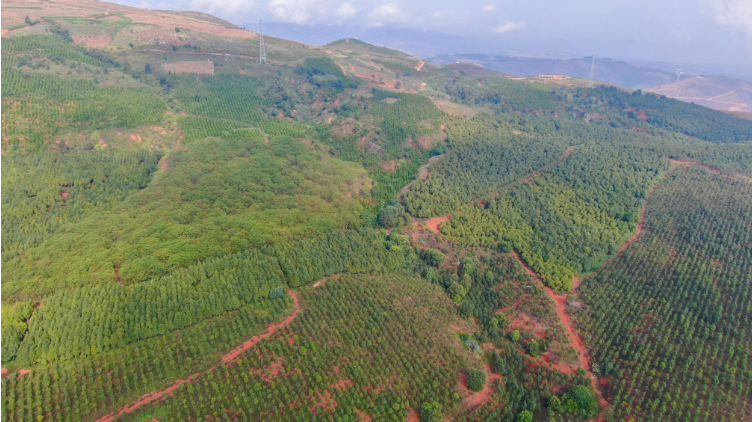 开远：“含绿量”升了 “含金量”高了5.png