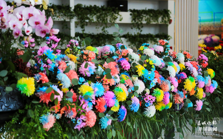 风、花、水、木 这就是开远的浪漫与底色3.png