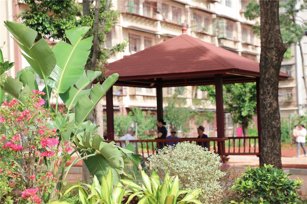 文明开远绽芳华 | 在文明的道路上，付出一颗初心 收获一份崭新