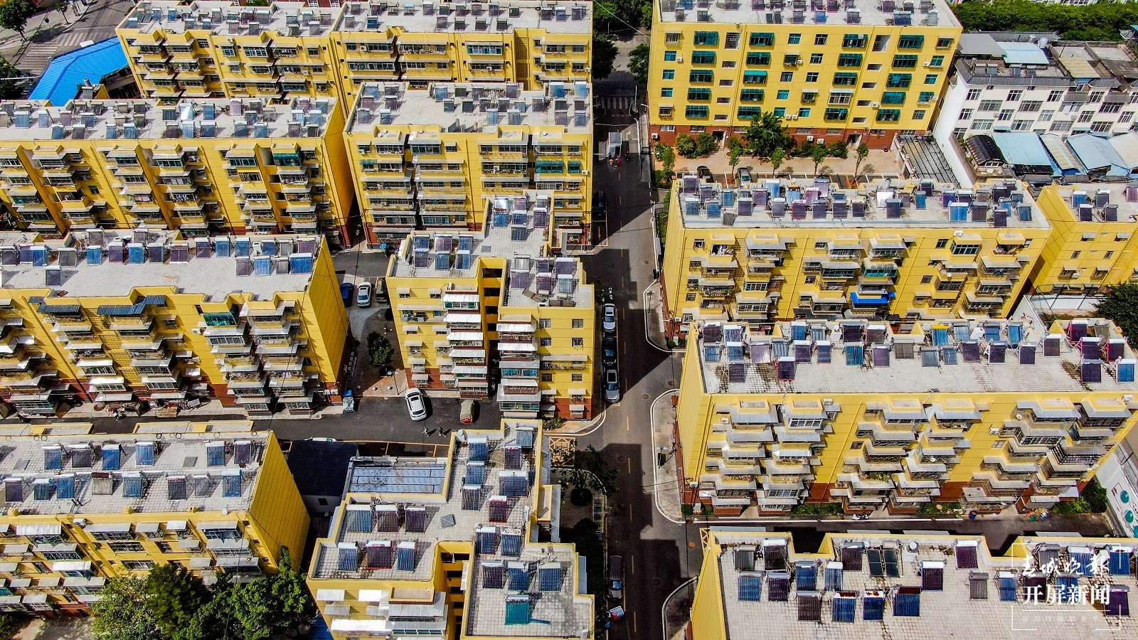 文明开远绽芳华 | 在文明的道路上，付出一颗初心 收获一份崭新