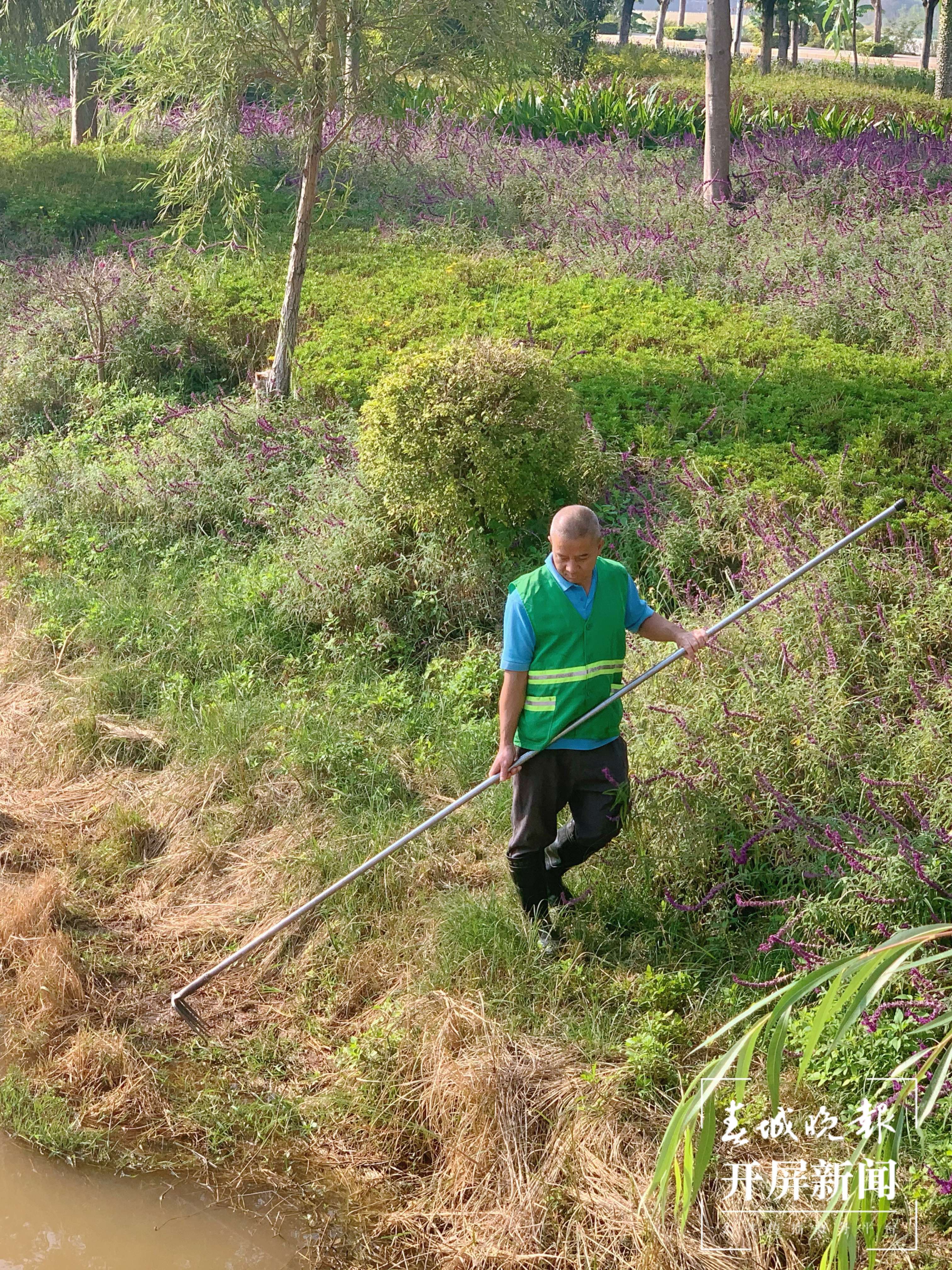 文明开远绽芳华 | 开远：“五措并举”创新河湖管护新模式