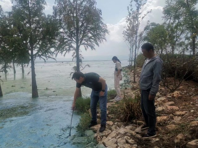 （受访者供图）王帅兵对星云湖蓝藻水华治理情况进行调研.jpg