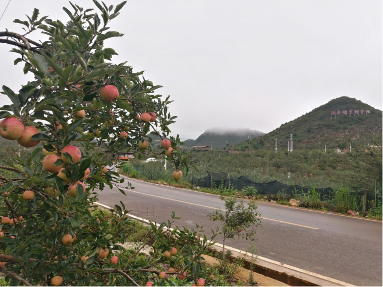 蒙自：建好农村公路 推动城乡一体化2.png