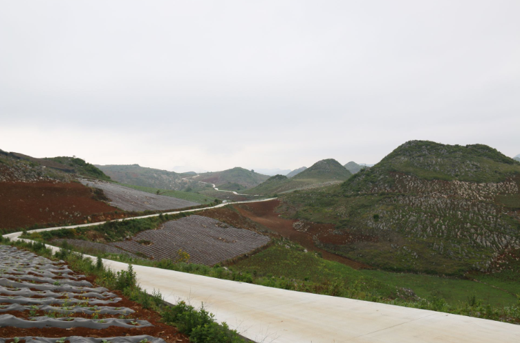 蒙自：建好农村公路 推动城乡一体化4.png