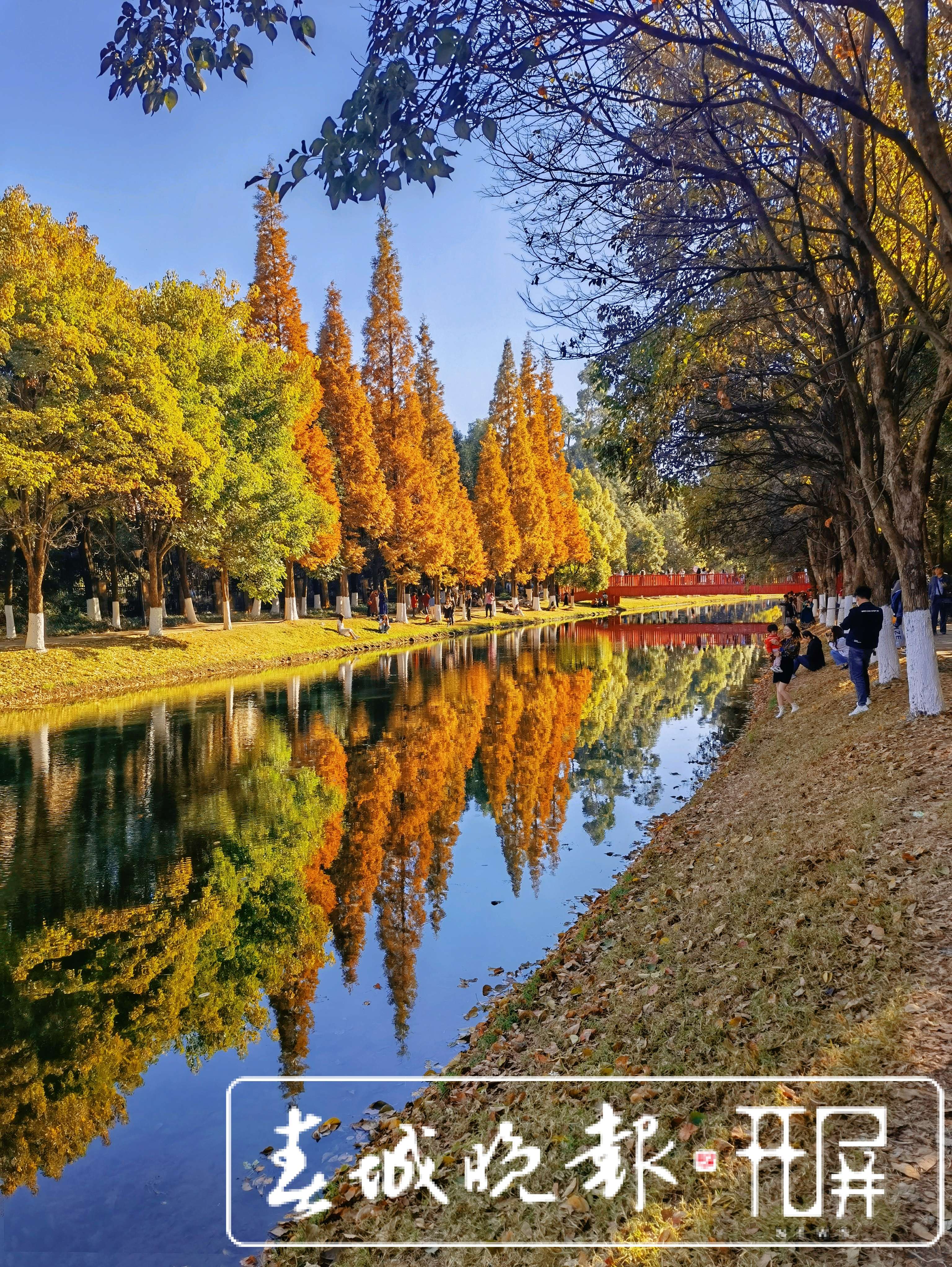 采莲河-开屏新闻马雯 (6).jpg