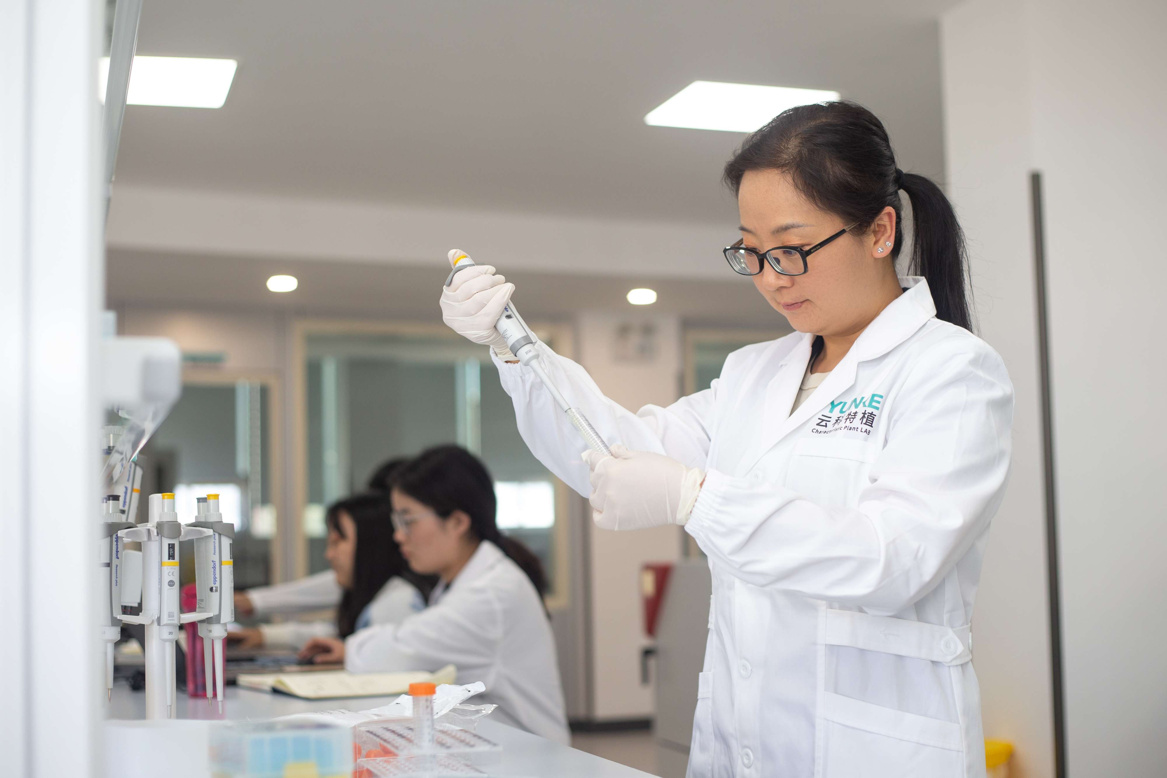 史珅：给云南一个机会 也给了自己一个好机会5.jpg