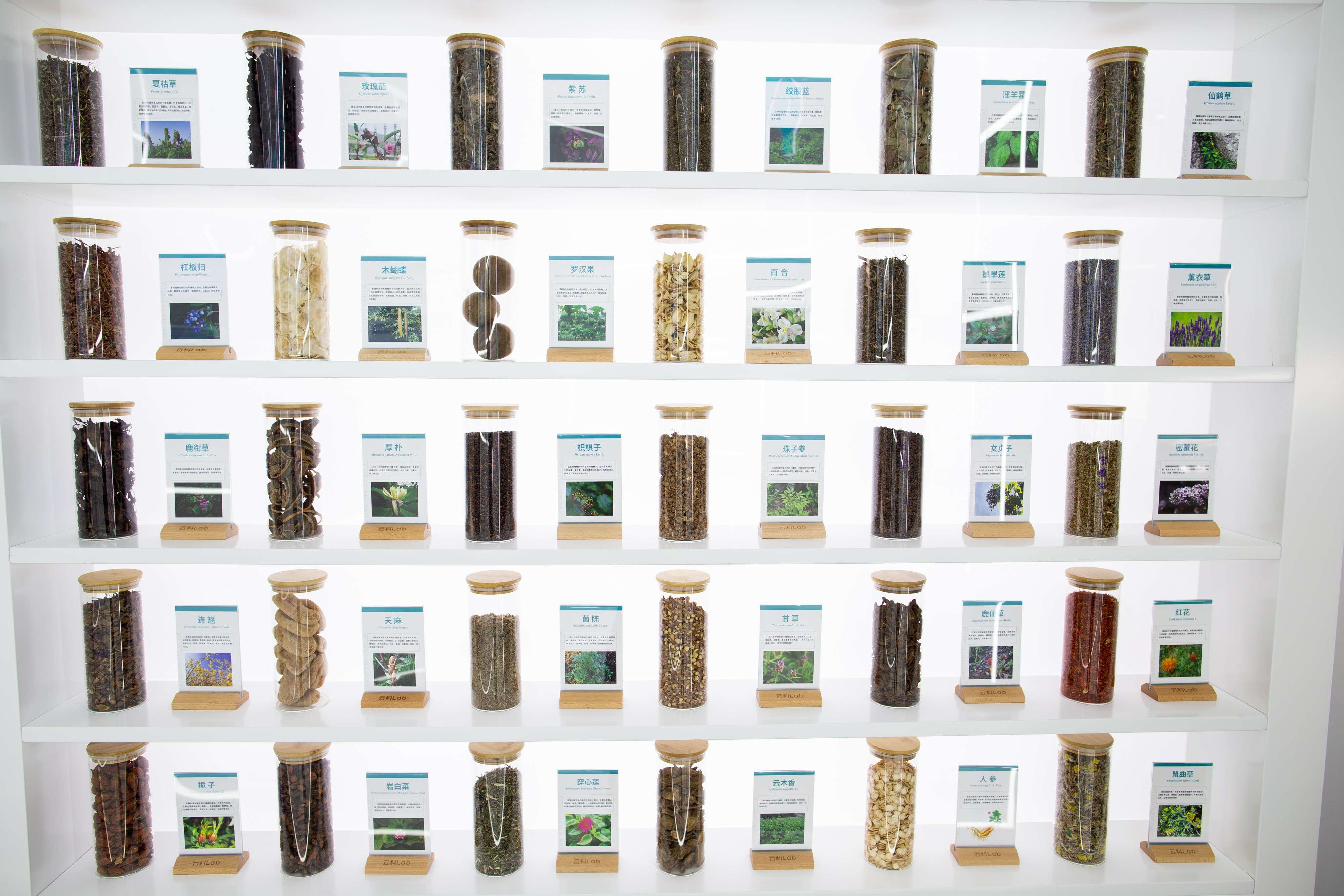 史珅：给云南一个机会 也给了自己一个好机会2.jpg