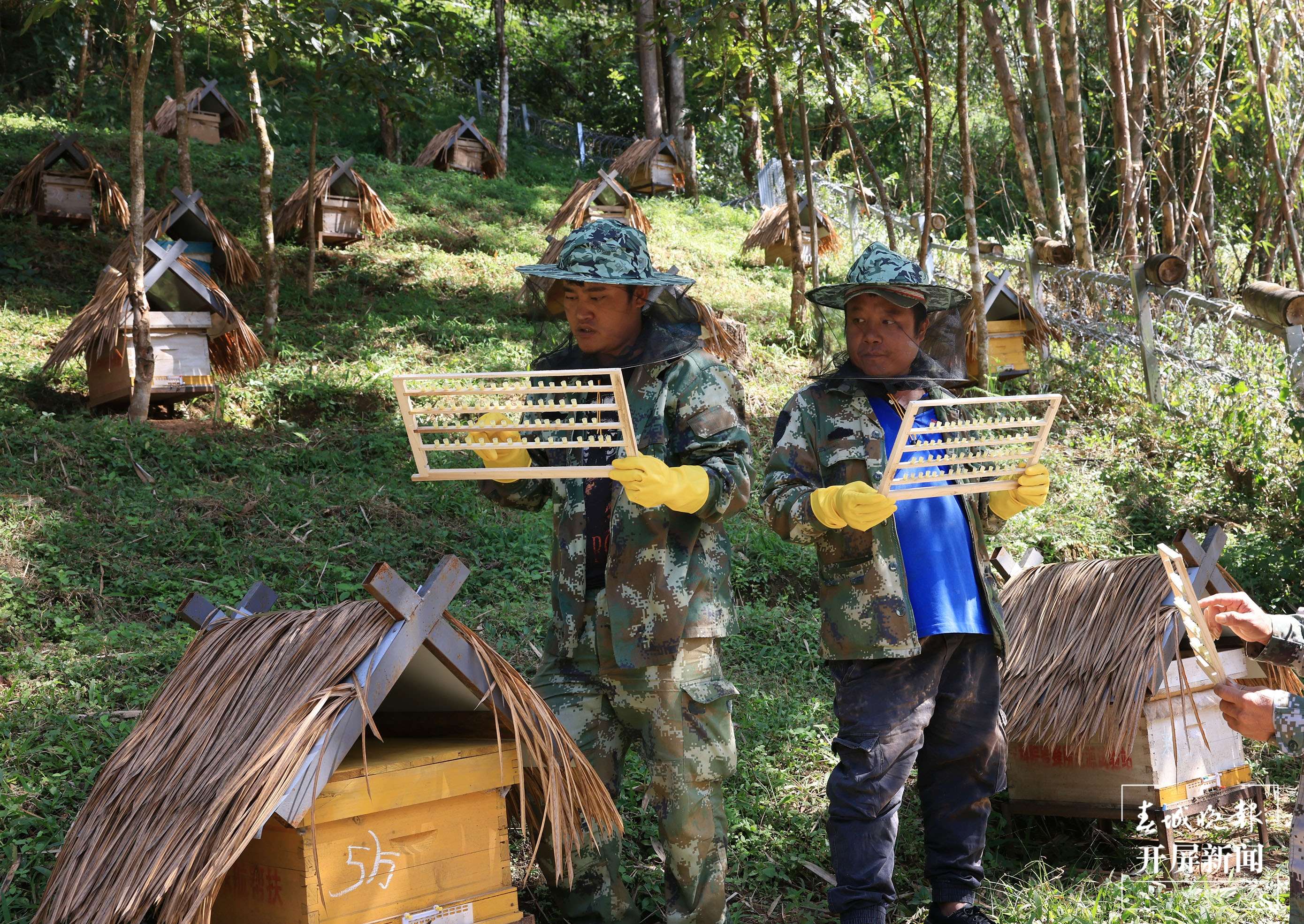 沧源县班洪乡：二十大代表来宣讲 “收信人”奋斗志更坚 作者：茶志福