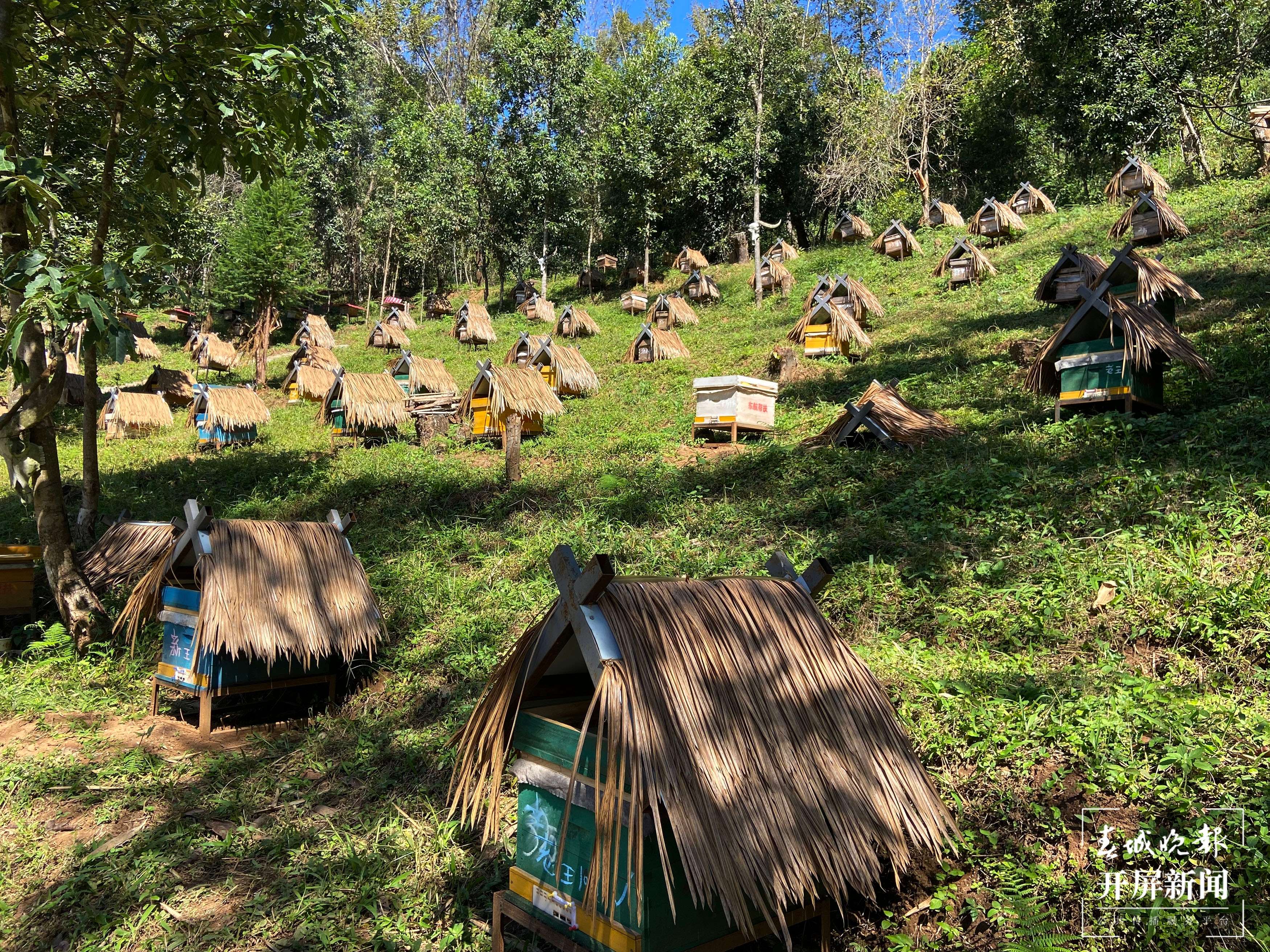 沧源县班洪乡：二十大代表来宣讲 “收信人”奋斗志更坚 作者：茶志福