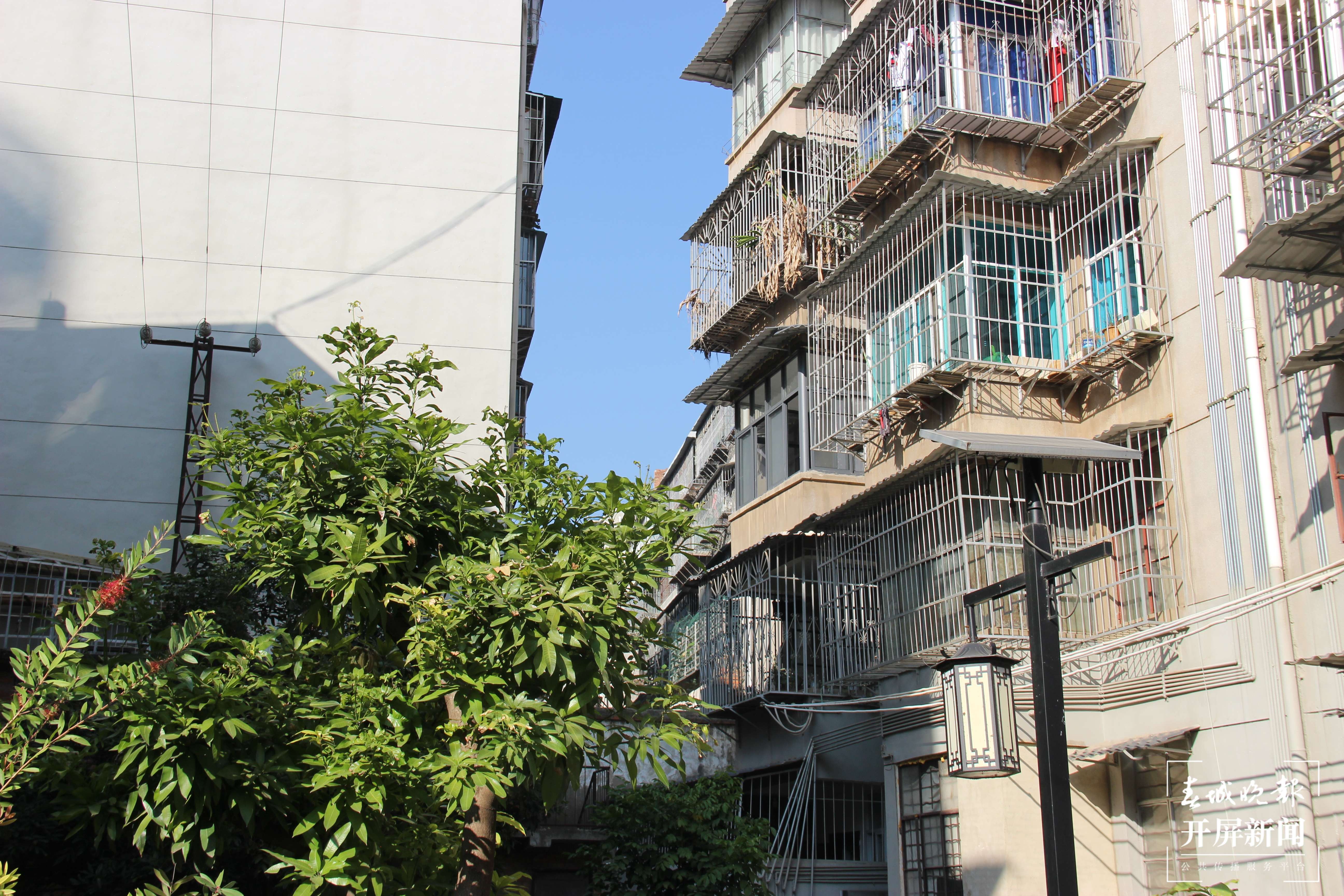 文明开远绽芳华｜让居民成为老旧小区改造“设计师”“决策师”“监理师”