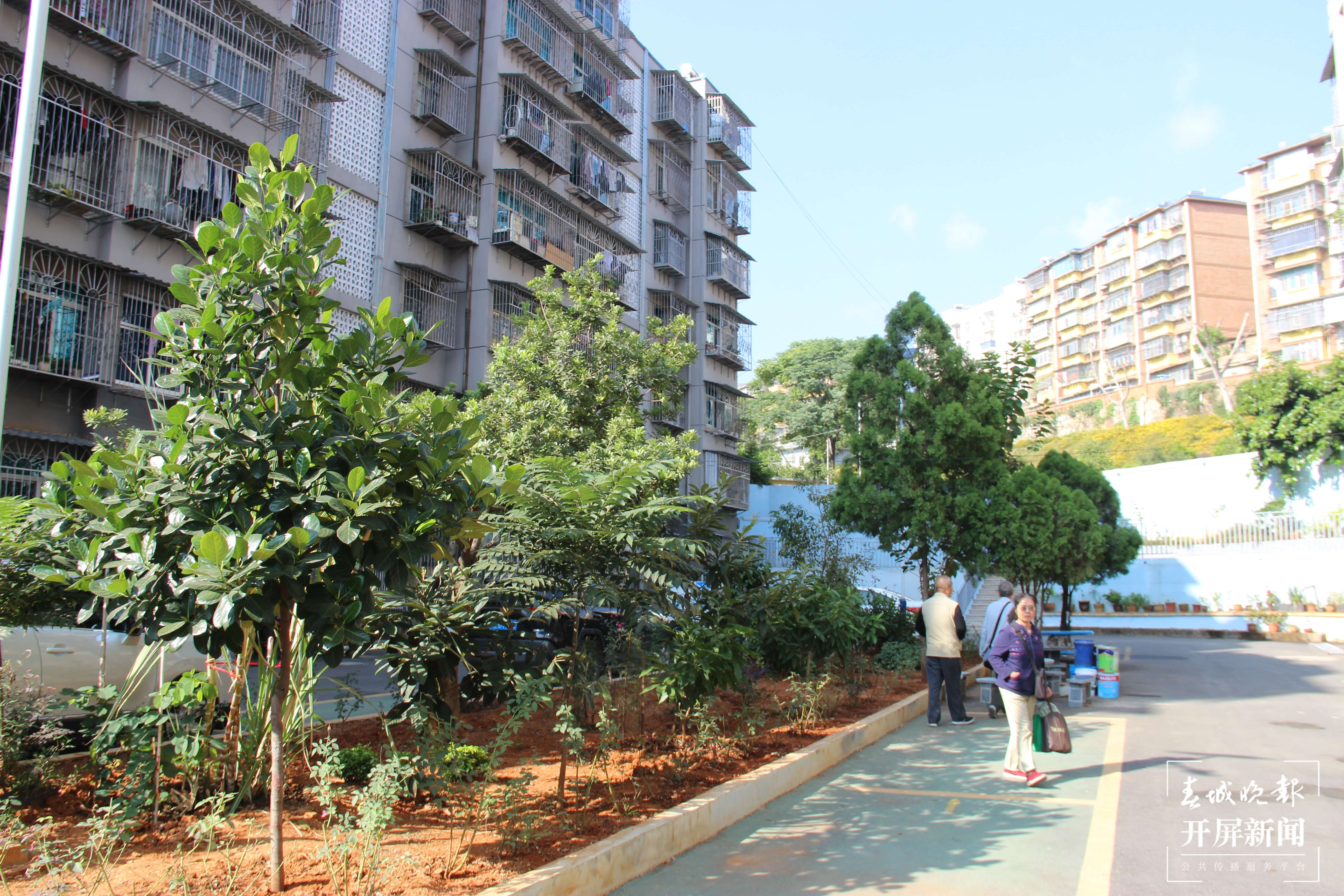 文明开远绽芳华｜让居民成为老旧小区改造“设计师”“决策师”“监理师”