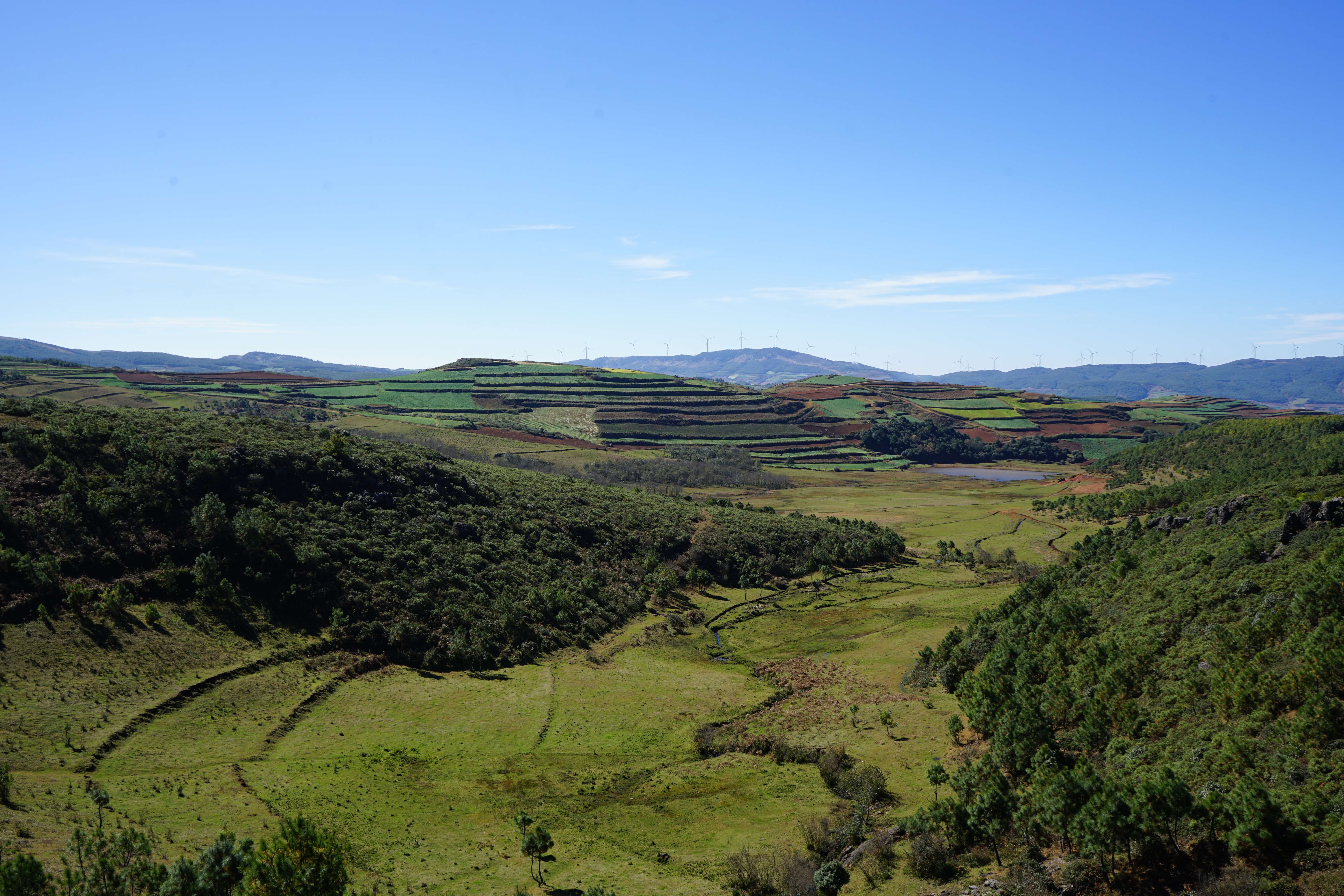 横河梁子 (2).jpg