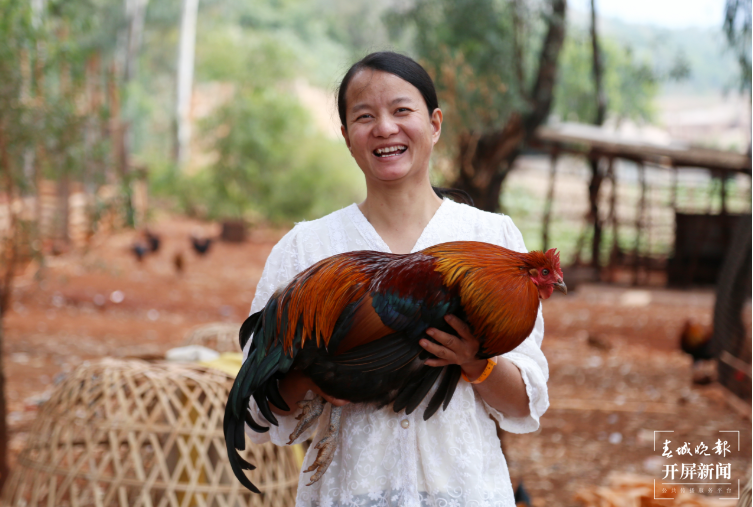 “鸡司令”李红艳：带动更多人发家致富.png