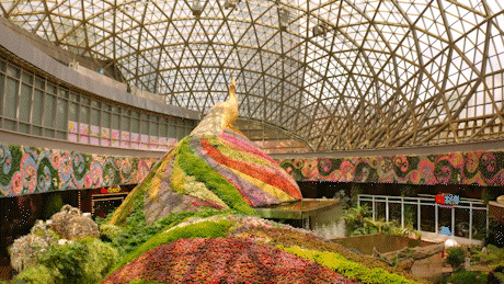 舌尖上的云南最新对外宣传片