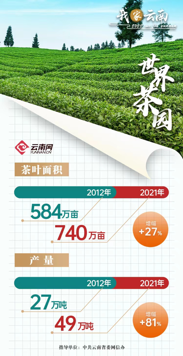 中国传统制茶技艺列入非遗名录 云南是主产区之一