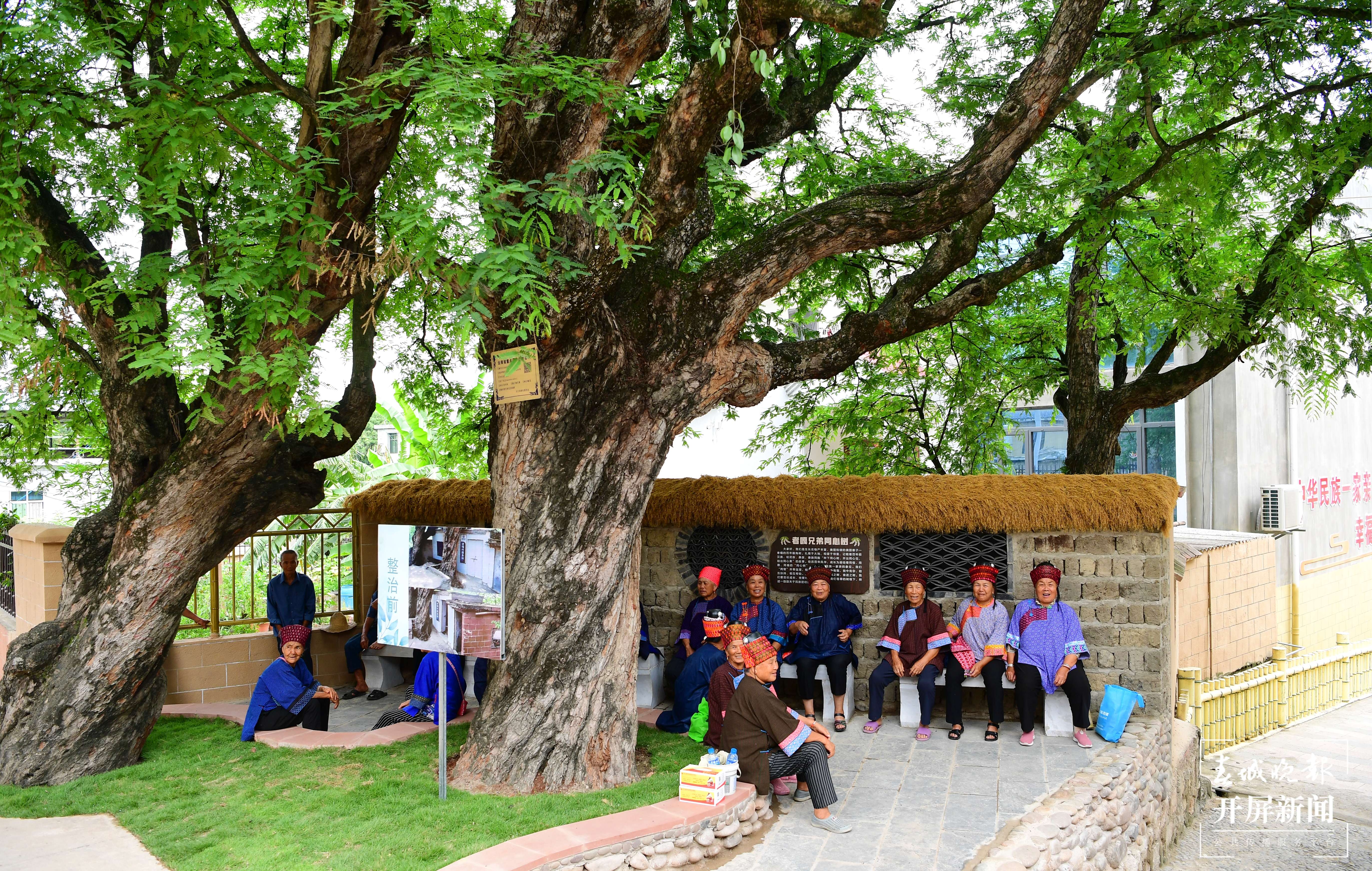 “城乡共融共享 筑梦共同富裕”云报集团全媒体玉溪行启动4.jpg