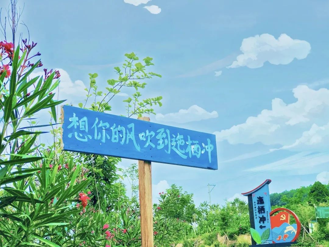 城乡共融共享 筑梦共同富裕 | “茶菌渔果+旅游”为迤栖冲提供可持续发展支撑