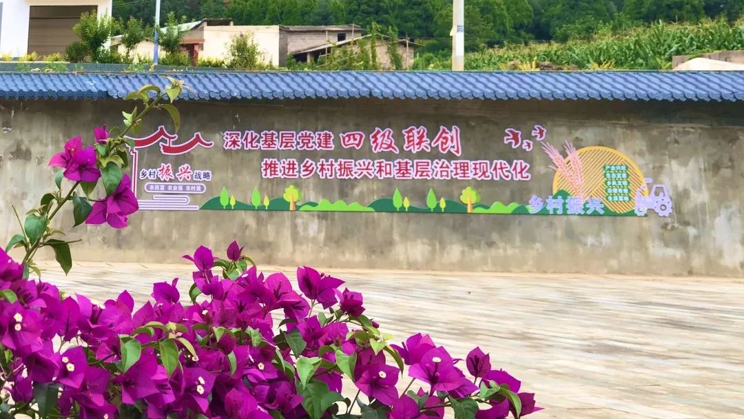 城乡共融共享 筑梦共同富裕 | “茶菌渔果+旅游”为迤栖冲提供可持续发展支撑