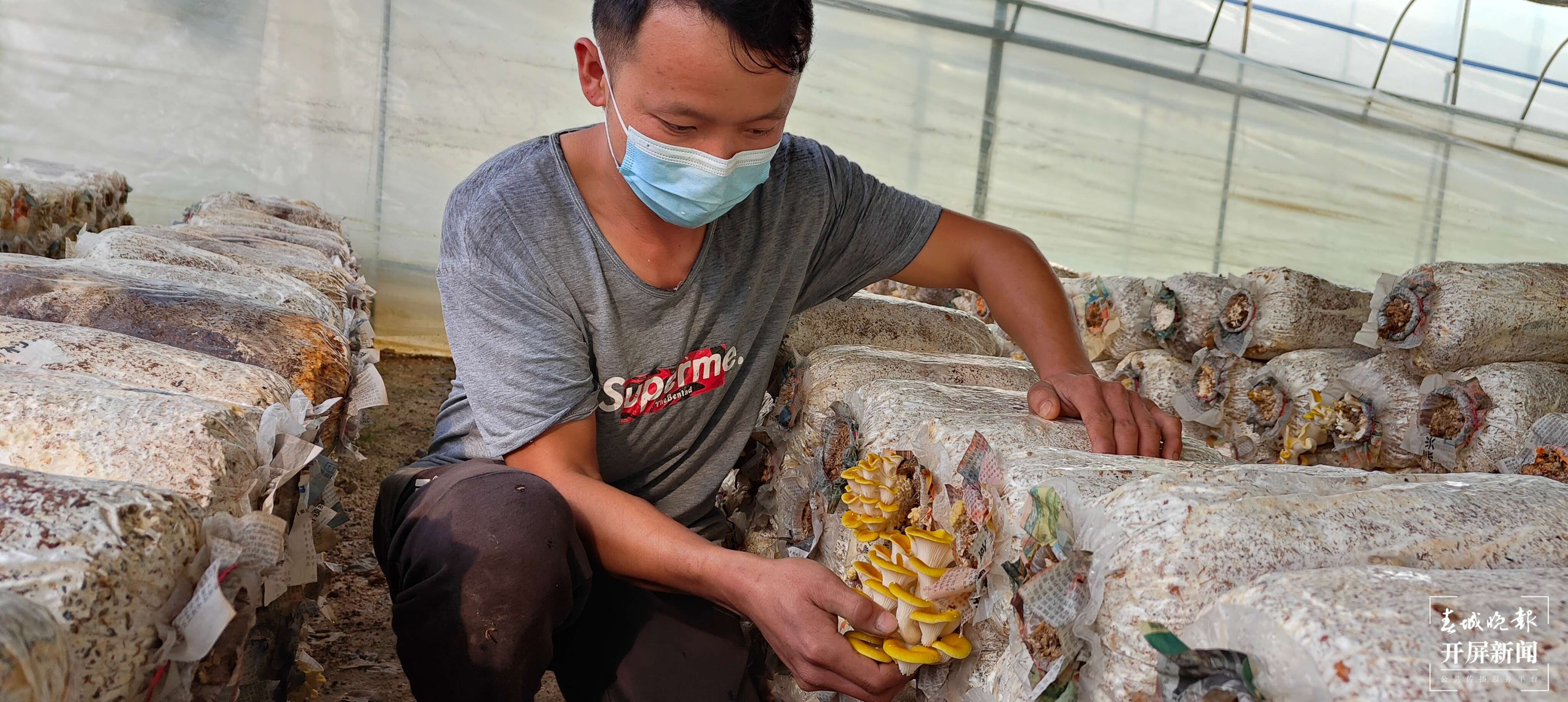 城乡共融共享 筑梦共同富裕 | “茶菌渔果+旅游”为迤栖冲提供可持续发展支撑