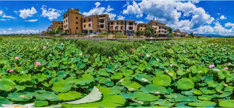 “远眺烟波浩渺 坐拥荷韵连天 ”2.png