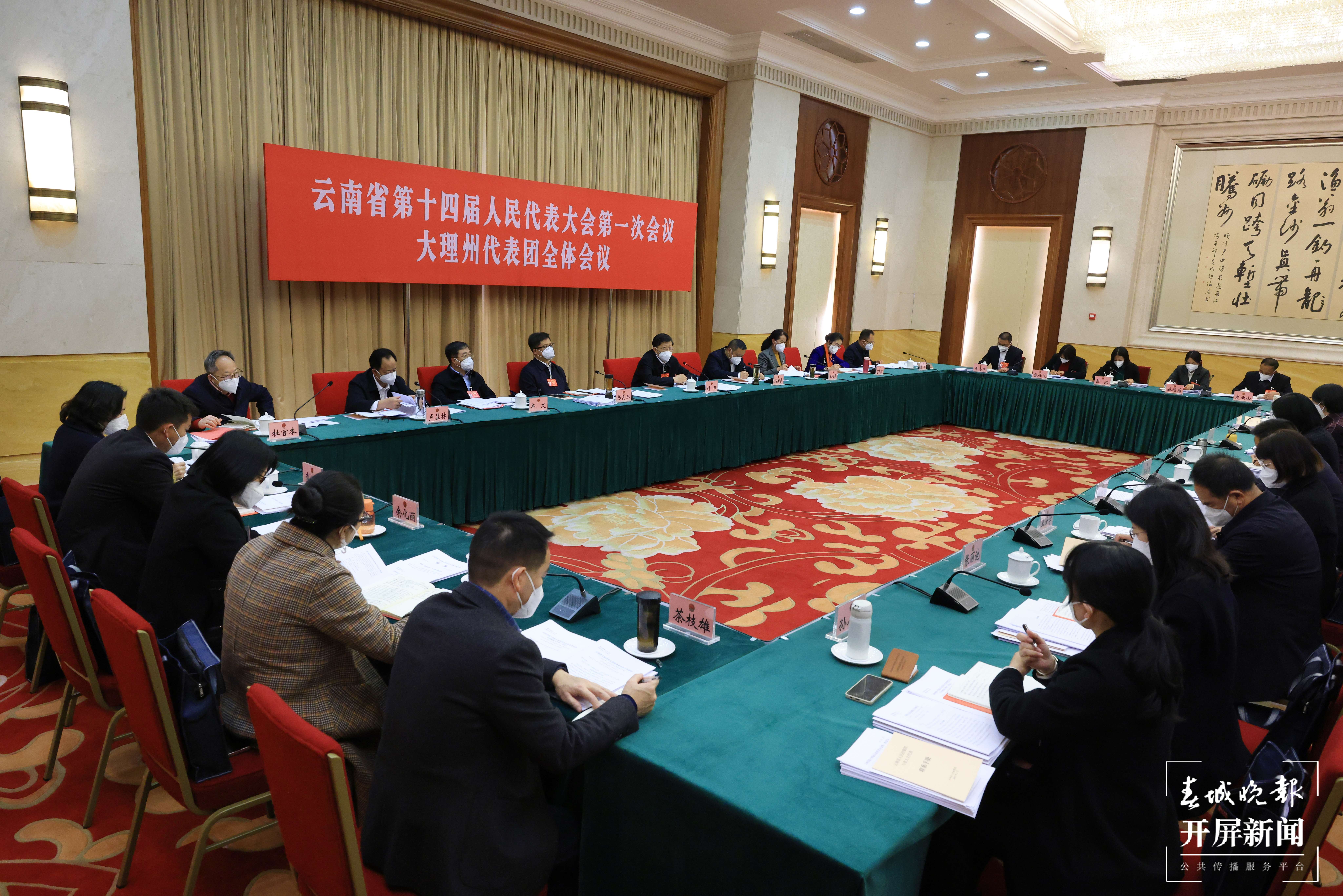 【2023云南省两会】组图｜代表、委员们履职尽责