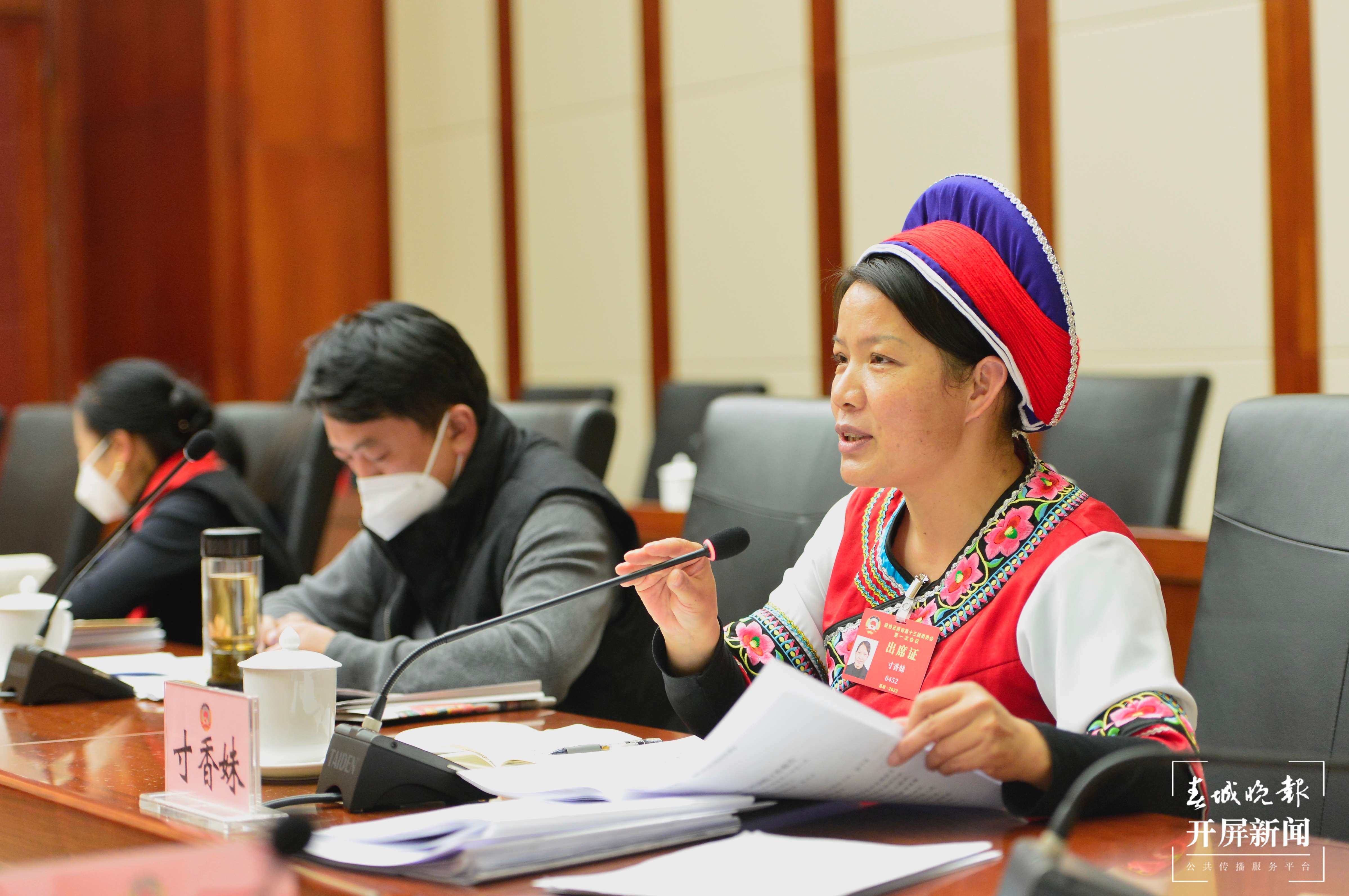 【2023云南省两会】组图｜代表、委员们履职尽责