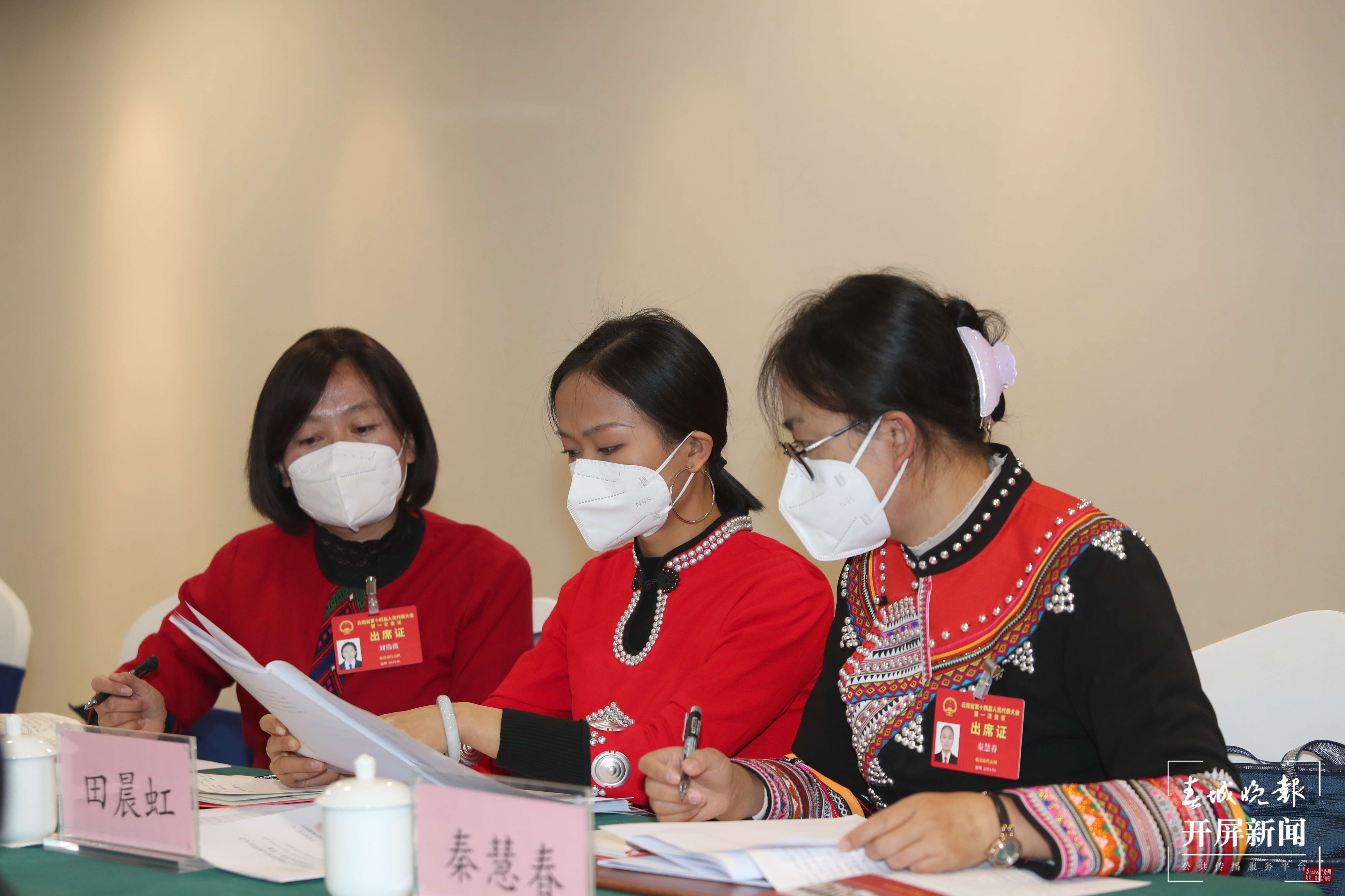 【2023云南省两会】组图｜代表、委员们履职尽责