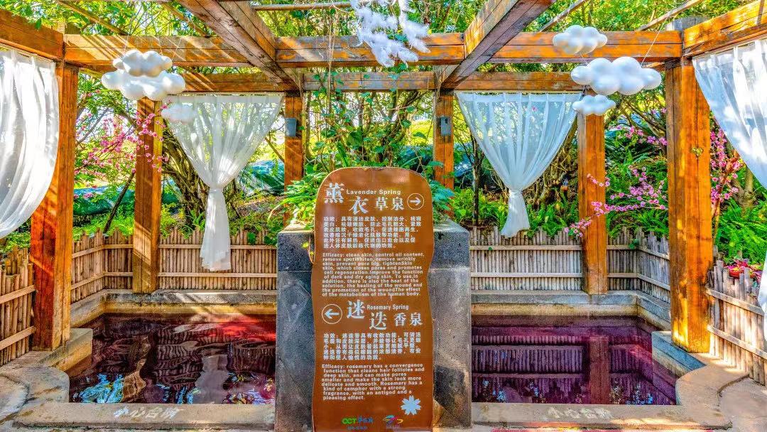 泡汤露营溜萌宠，来阳宗海华侨城过个团圆年——群樱荟酒店 (2).jpg