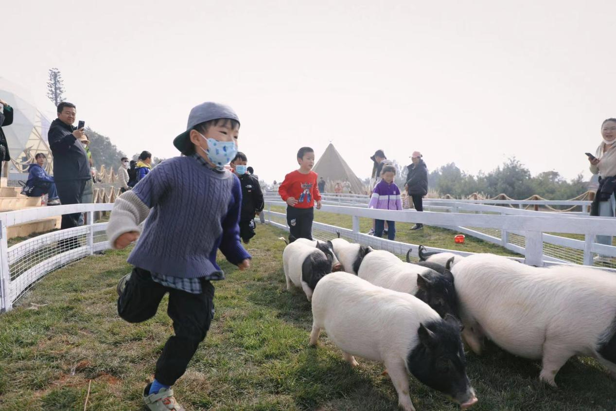 泡汤露营溜萌宠，来阳宗海华侨城过个团圆年——牧野拾趣1 (1).png