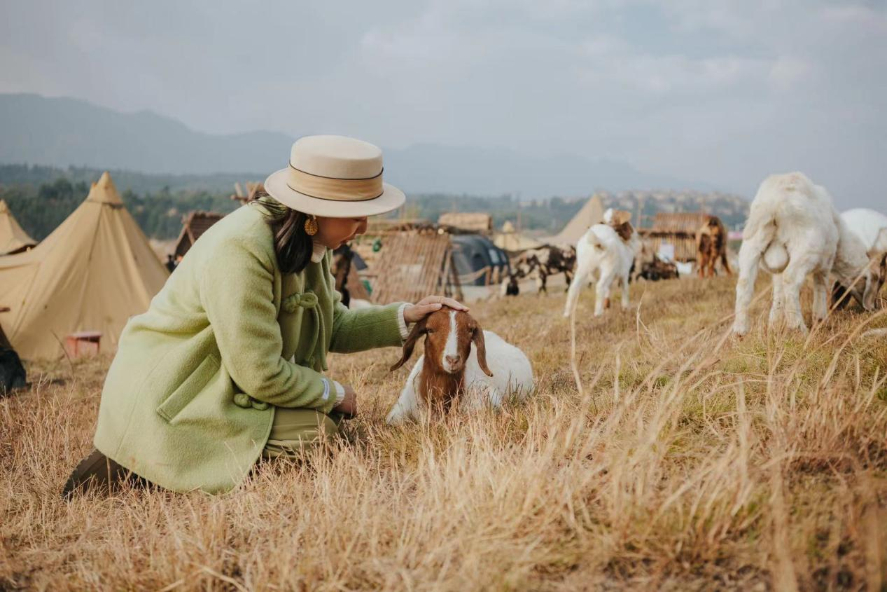 泡汤露营溜萌宠，来阳宗海华侨城过个团圆年——牧野拾趣1 (2).png