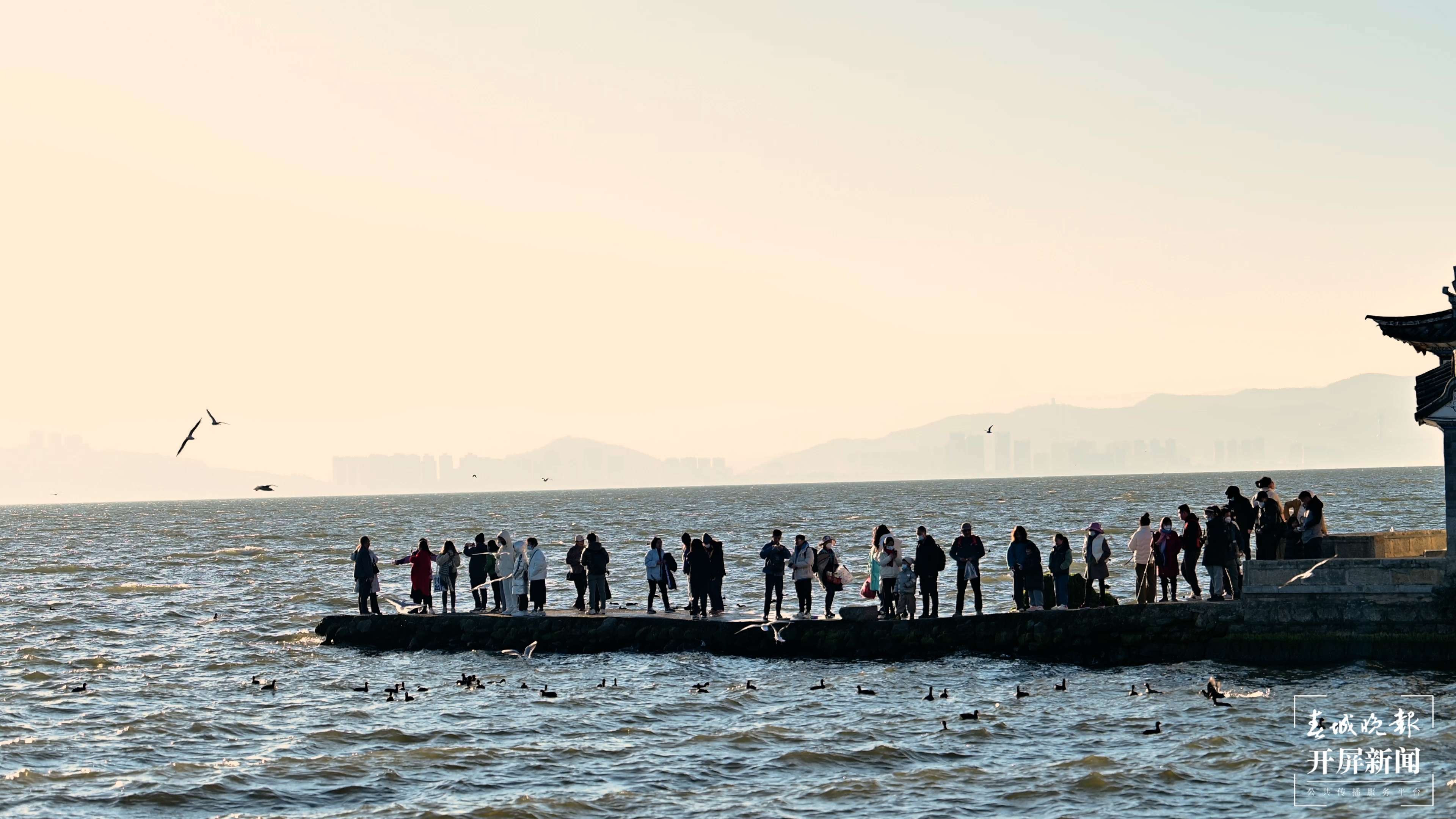 大年初一逛洱海赏日出，共迎新春！5.jpg