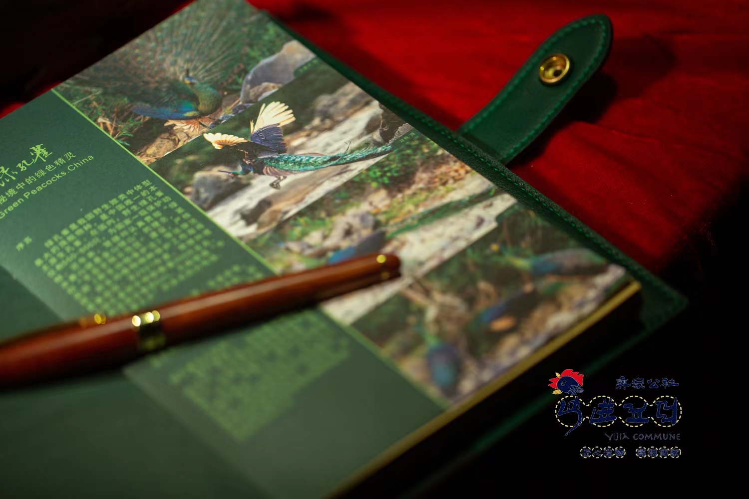 梦回千年 牵手时尚 “绣美”楚雄 | 金永淑:收藏民族记忆 焕发新生力量