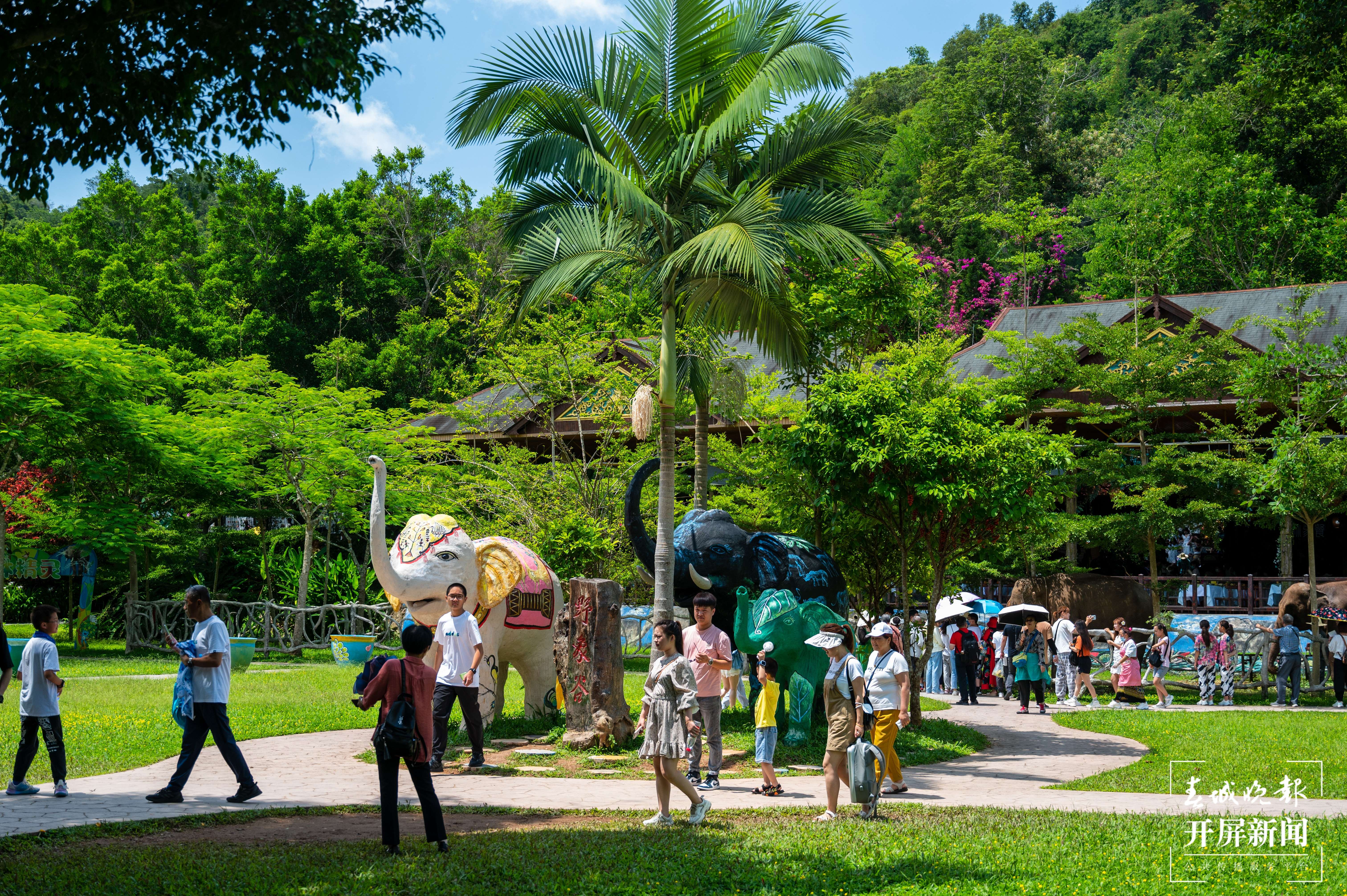 “高质量发展看西双版纳”全媒体主题采访活动启动