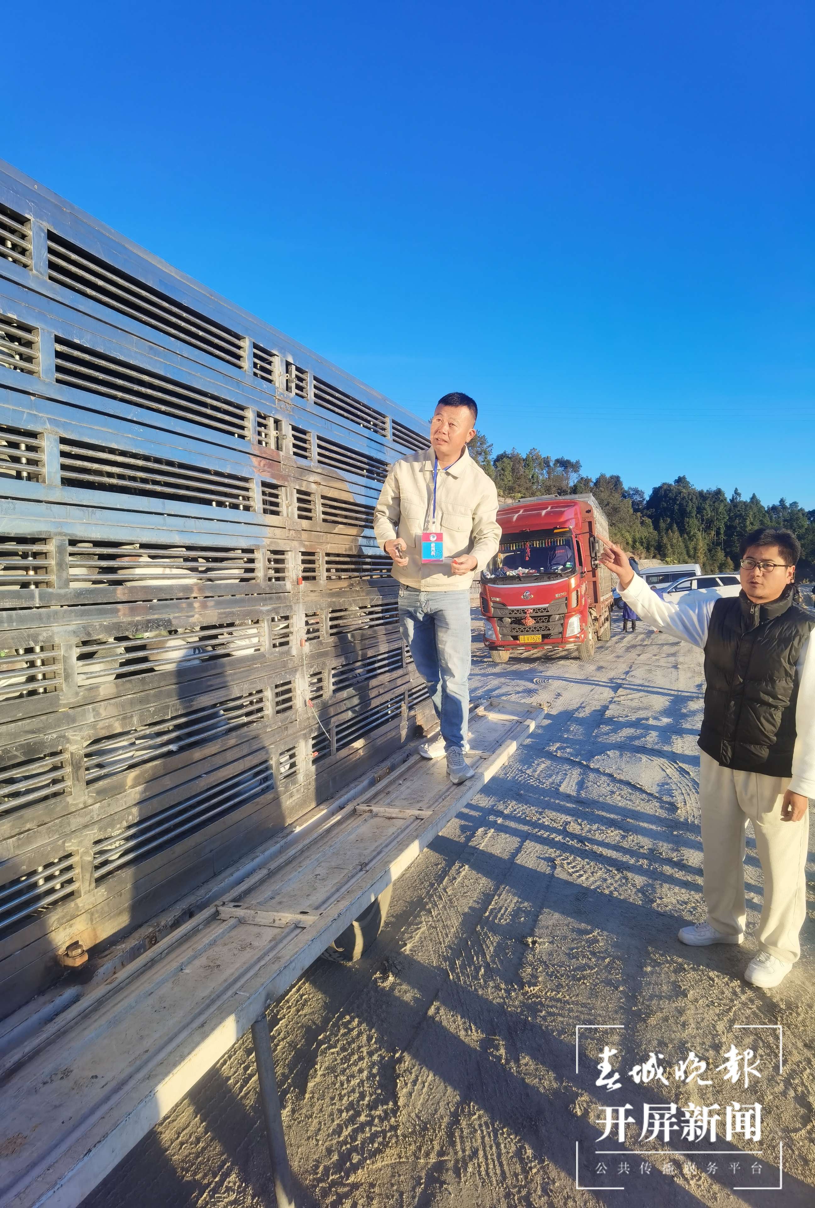 信鸽国家赛龙陵站